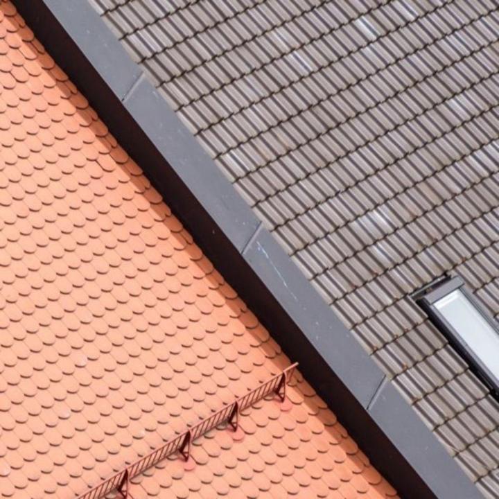 Traitement de charpente Île-de-France